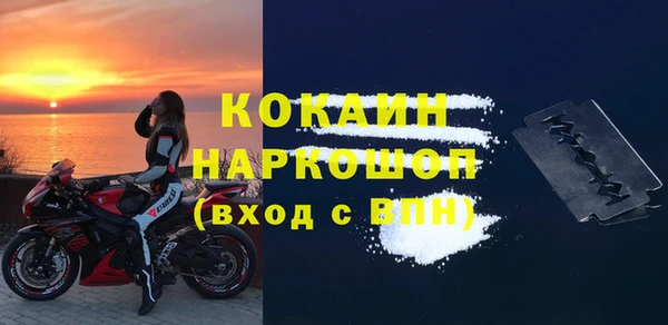 крисы Пересвет