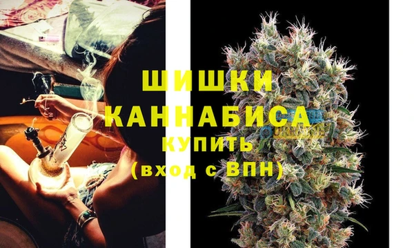 сатива Осинники