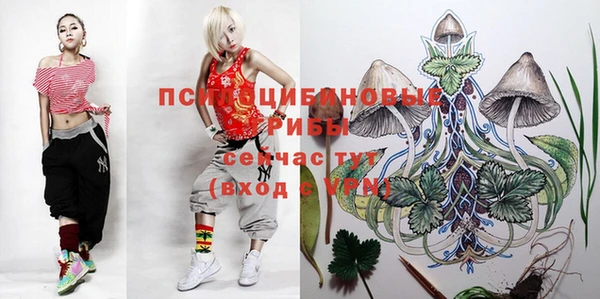 гидра Осташков
