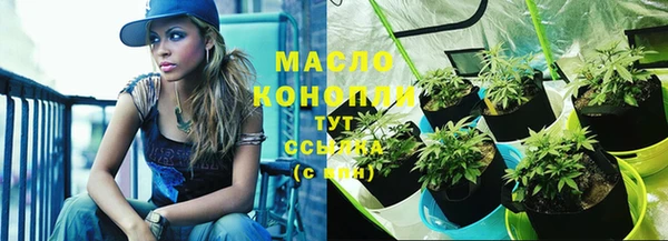 сатива Осинники
