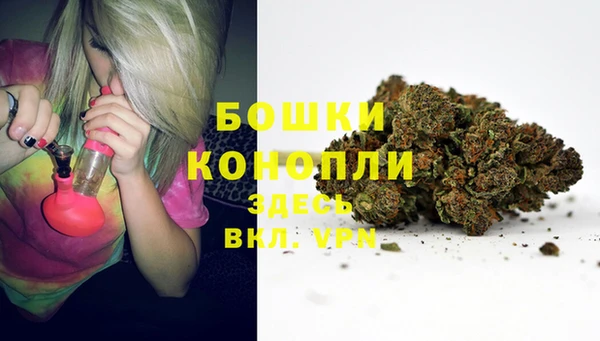 ALPHA PVP Остров
