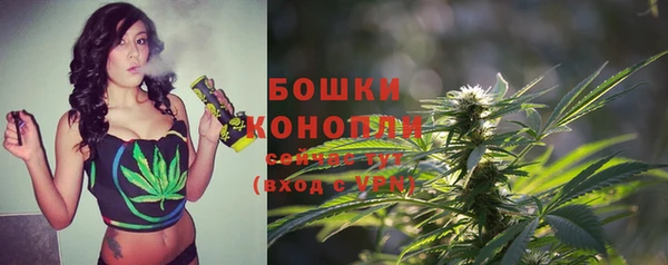 ALPHA PVP Остров