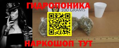 меф Гатчина