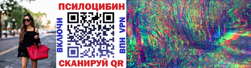 Псилоцибиновые грибы GOLDEN TEACHER  Михайловск 