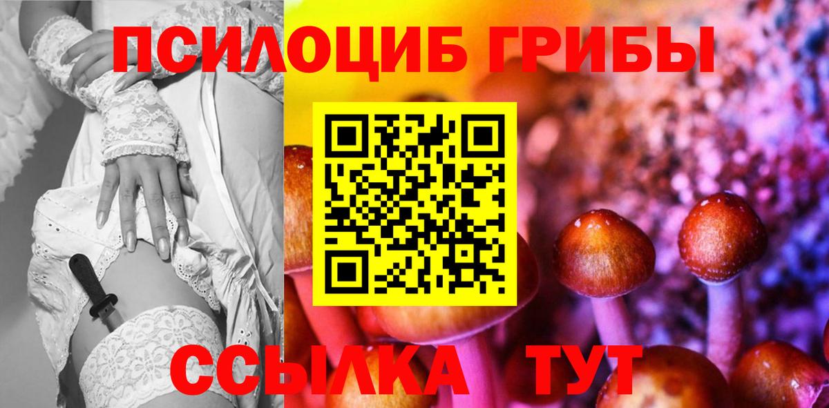 Михайловск  Галлюциногенные грибы Psilocybe  Вход с VPN 