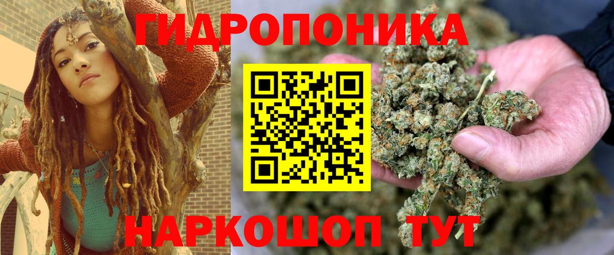 Канабис ГИДРОПОН Михайловск